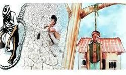 महाराष्ट्र में प्रतिदिन 7 किसान करते हैं आत्महत्या, सीएम फडणवीस के गृह क्षेत्र में हुई इतनी मौतें