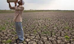 महाराष्ट्र: कारोबारी ने किसानों के नाम पर लिया 5400 करोड़ का कर्ज, किसानों को मिल रहे हैं बैंक के नोटिस