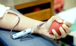 यह है असली भारत आरिफ ने रोजा तोड़कर बचाई अपने दोस्त अजय की जान