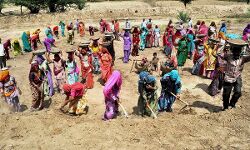 उत्तर प्रदेश: मनरेगा में 30 लाख का घोटाला, पूर्व ग्राम प्रधान और सेक्रेटरी पर केस दर्ज