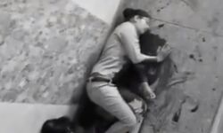 योगी राज: ग्रेटर नोएडा में सनकी आशिक ने युवती की चाकू घोंपकर की हत्या, दर्शक बानी जनता बनाती रही वीडियो