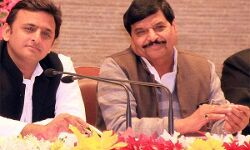 उत्तर प्रदेश: 2019 से पहले समाजवादी पार्टी को मिली इतनी बड़ी कामयाबी की भाजपा के उड़े होश उत्तर प्रदेश: 2019 से पहले समाजवादी पार्टी को मिली इतनी बड़ी कामयाबी की भाजपा के उड़े होश