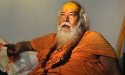 शंकराचार्य का बड़ा बयान- राम मंदिर निर्माण नहीं, सिर्फ सत्ता चाहती है बीजेपी