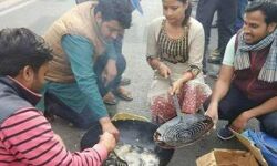 बड़ी खबर: JNU में शुरू हुआ पकौड़ा विवाद, 4 छात्रों पर कार्रवाई, 1 को हॉस्टल से निकाला