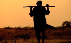 शिवराज में एक और किसान ने तोड़ा दम, बुंदेलखंड में सूखा राहत राशि के लिए अनशन पर बैठे किसान की मौत