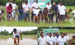 न्यू इंडिया: गोवा के कृषि मंत्री की किसानों को सलाह: अच्छी फसल के लिए दिन में 20 मिनट करें इस मंत्र जाप