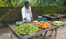 कोरोना काल में पेट भरने के लिए सब्जी बेचने को हुए मजबूर Balika Vadhu के डायरेक्टर