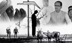 न्यू इंडिया: शिवराज में किसानों की आत्महत्या का सिलसिला जारी, कर्ज ने ली एक और अन्नदाता की जान