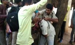 नाराज़ जनता ने भाजपा नेता हरीश वर्मा के चेहरे पर पोत दी कालिख: जानिए क्या है पूरा मामला