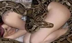 युवती से लिपट कर सोता था अजगर, डाक्टर ने बताया सच तो कांप गई रूह!