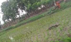 उत्तर प्रदेश के कुशीनगर में तेज धमाके के साथ धंस गई जमीन, घटना से इलाके में दहशत