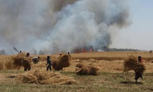 गोरखपुरः गेंहू की फसल जलकर खाक, सोते रहे फायर ब्रिगेड के कर्मचारी