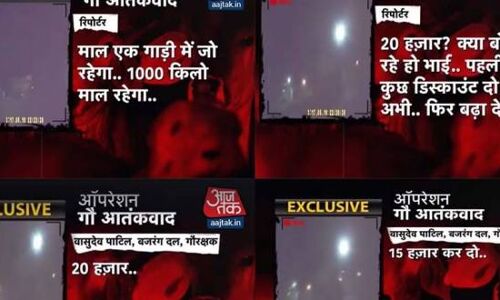 गौरक्षा के नाम पर कैसे चल रहा गौमांस व्यापार का गोरखधंधा? पढ़ें पूरी खबर