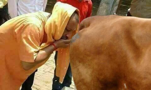 जानिए,  मुख्यमंत्री योगी की गोमूत्र पीने वाली वायरल फोटो की हक़ीक़त!