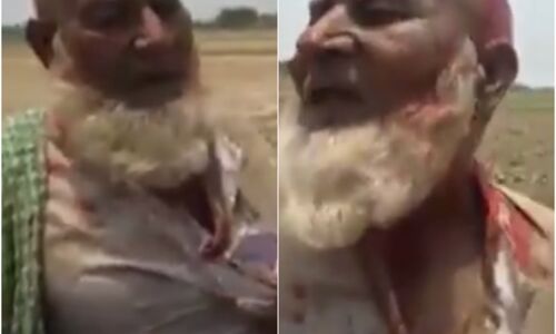 योगी राज: गौकशी के नाम पर हुई कासिम हत्या के बाद समयुद्दीन का वीडियो आया सामने, दाढ़ी खींचकर मारती दिखी भीड़