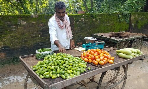 कोरोना काल में पेट भरने के लिए सब्जी बेचने को हुए मजबूर Balika Vadhu के डायरेक्टर कोरोना काल में पेट भरने के लिए सब्जी बेचने को हुए मजबूर Balika Vadhu के डायरेक्टर