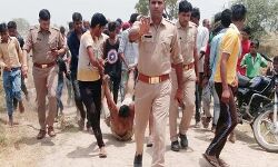 हापुड़ मॉब लिंचिंग: योगी सरकार ने सुप्रीम कोर्ट में स्टेटस रिपोर्ट दाखिल किया!