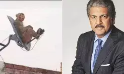 कार जीतने का मौका! DTH छतरी पर बैठे बंदर के लिए कैप्शन बताइए, महिंद्रा की कार जीत सकेंगे