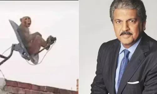 कार जीतने का मौका! DTH छतरी पर बैठे बंदर के लिए कैप्शन बताइए, महिंद्रा की कार जीत सकेंगे कार जीतने का मौका! DTH छतरी पर बैठे बंदर के लिए कैप्शन बताइए, महिंद्रा की कार जीत सकेंगे