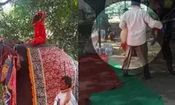 राम देव गिरे धड़ाम से: हाथी पर बैठ कर योग करना पड़ गया भारी, देखें VIDEO
