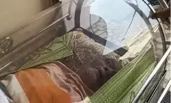 बूढ़े शख्स को जिन्दा फ्रीज़र में कर दिया बंद, परिवार कर रहा था मरने का इंतजार, ये है पूरा मामला