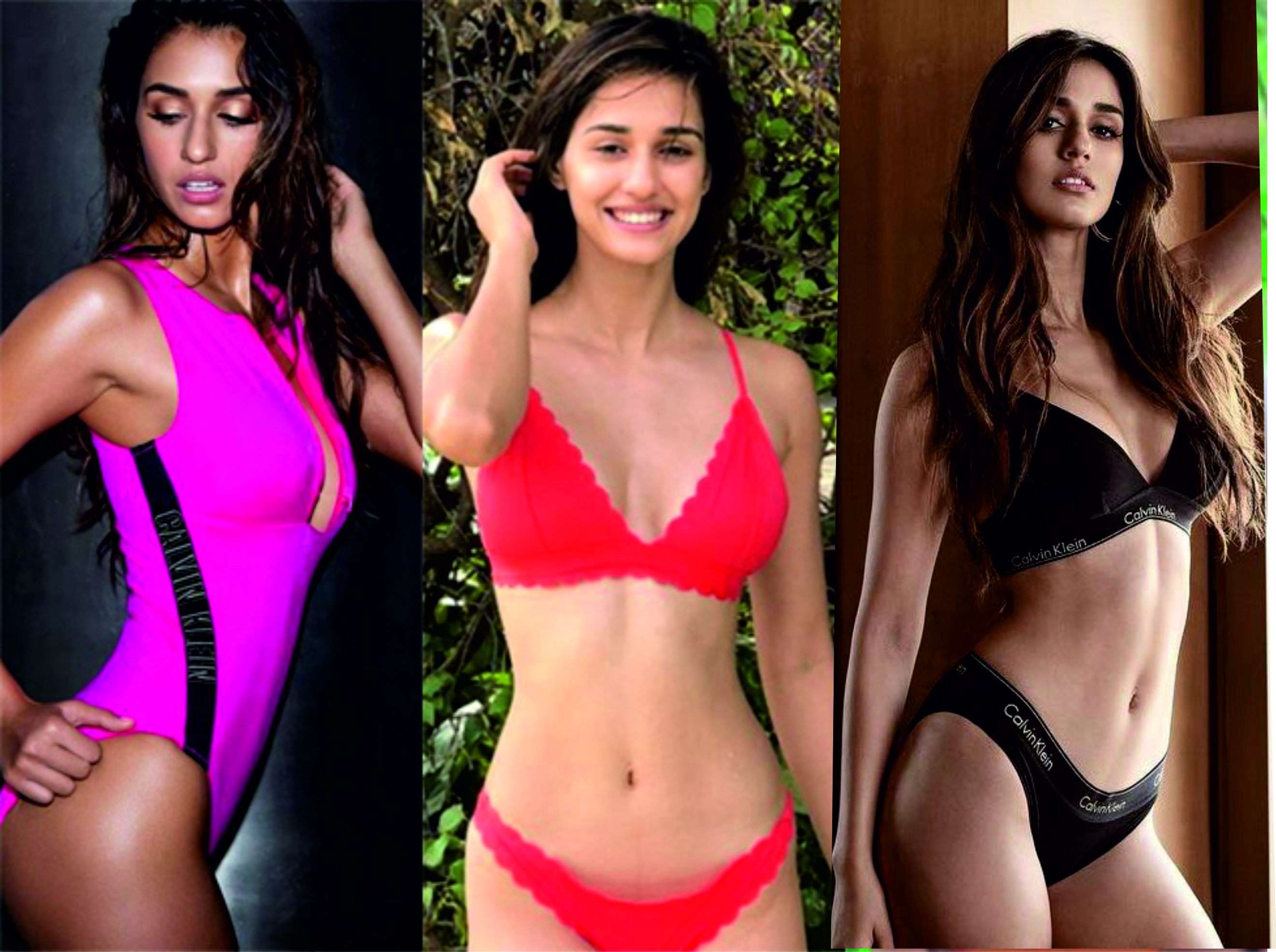 Disha Patani Sexy Photo