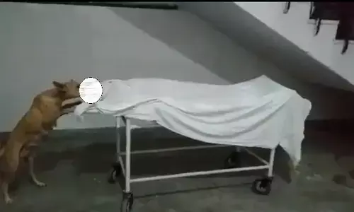 योगी राज : संभल के सरकारी अस्पताल में शव को नोंच रहा कुत्ता, वीडियो वायरल
