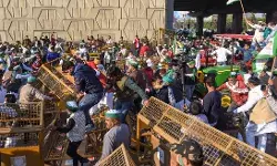 किसानों ने खारिज किया अमित शाह का प्रस्ताव, बोले- कोई शर्त मंजूर नहीं, जंतर-मंतर पर करना चाहते प्रदर्शन