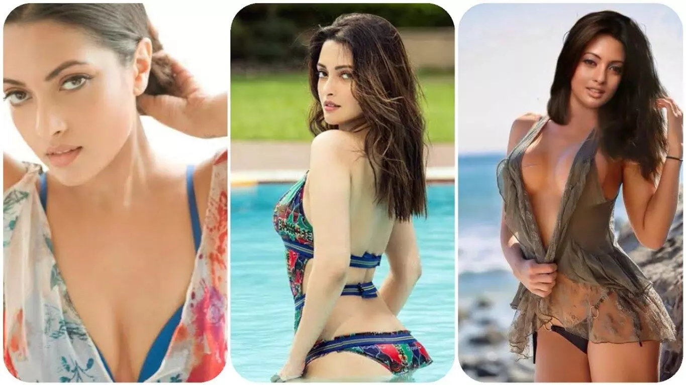 Riya Sen Sexy Hot Videos Riya Sen Sexy Hot Videos