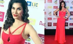 Sophie Choudry Sexy Video: सोफी चौधरी का सेक्सी और बोल्ड बिकिनी अवतार बना देगा आपका दिन, देखें हॉट अवतार Sophie Choudry Sexy Video: सोफी चौधरी का सेक्सी और बोल्ड बिकिनी अवतार बना देगा आपका दिन, देखें हॉट अवतार