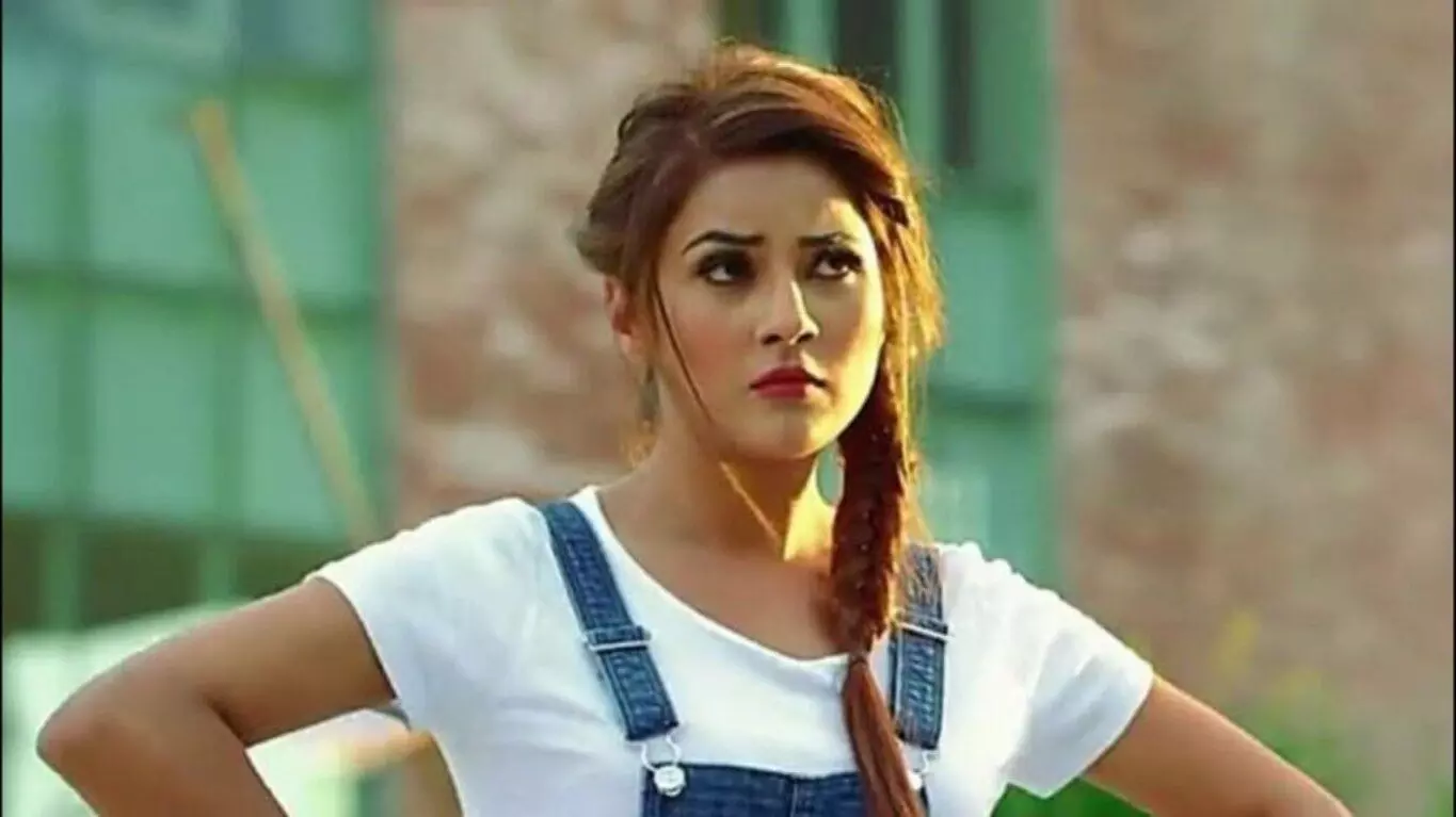 Shehnaz Kaur Gill Wiki, Biography In Hindi | Shehnaz Kaur Gill | Lifestyle,  Carrer, Boyfriend, Networth | शहनाज कौर गिल का जीवन परिचय | Shehnaz Kaur  Gill Biography BigBoss,Age,Height,Boyfriend & More