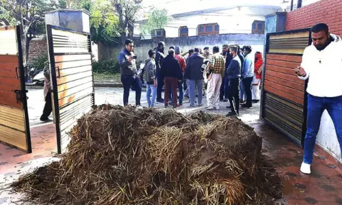 Cow Dung Dumped At BJP Leaders House In Punjab