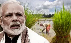 Farmers Movement: Government will have to give up stubborn attitude