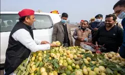 Akhilesh Yadav Takes A Jibe On yogi Government Akhilesh Yadav Takes A Jibe On yogi Government