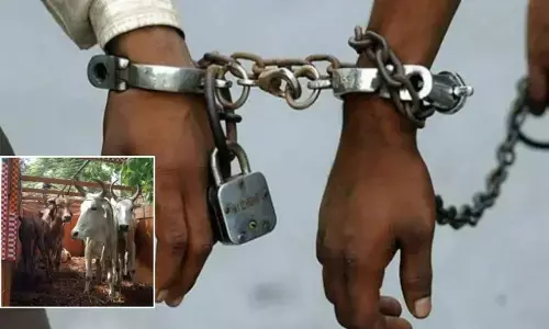 BJP युवा मोर्चे के नेता पर लगा गो तस्करी का आरोप, 138 मवेशियों को कत्लखाने भेजने के आरोप में FIR दर्ज BJP युवा मोर्चे के नेता पर लगा गो तस्करी का आरोप, 138 मवेशियों को कत्लखाने भेजने के आरोप में FIR दर्ज