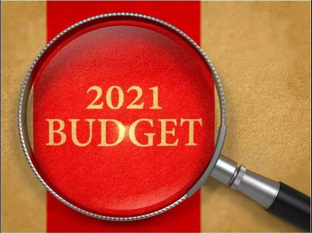 Budget 2021 What is a budget Know when the countrys first budget was presented Know all the special things related to the budget
