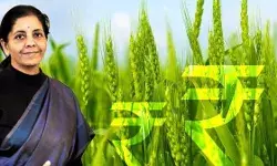 किसान आंदोलन के बीच किसानों के लिए Budget में हो सकते हैं ये 2 बड़े ऐलान! आंदोलन पर पड़ेगा असर?