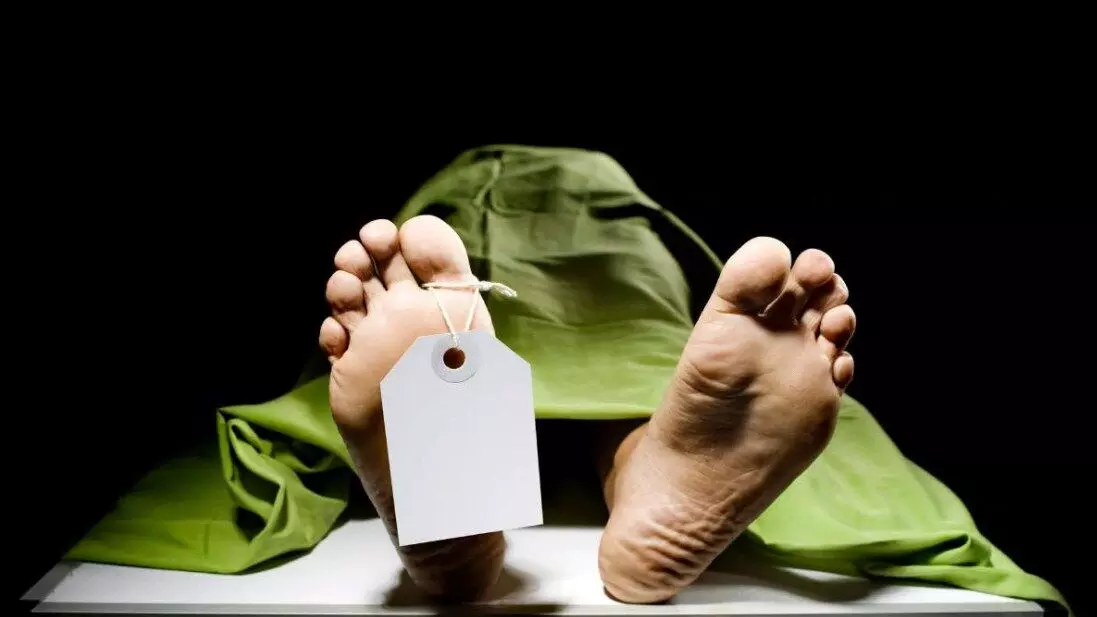 सहायता मिलने के बाद भी नहीं बच पाया इस मशहूर एक्ट्रेस का भाई, ट्वीट कर दी जानकारी सहायता मिलने के बाद भी नहीं बच पाया इस मशहूर एक्ट्रेस का भाई, ट्वीट कर दी जानकारी