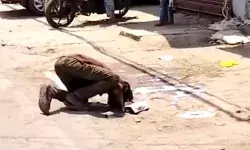 शर्मनाक : सड़क पर फैला दूध पी गया युवक, भूख के आगे हुआ लाचार