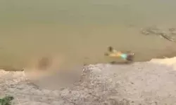 बक्सर के बाद अब गाजीपुर में गंगा किनारे लगा लाशों का ढेर, तैरते दिखीं दर्जनों लाशें बक्सर के बाद अब गाजीपुर में गंगा किनारे लगा लाशों का ढेर, तैरते दिखीं दर्जनों लाशें