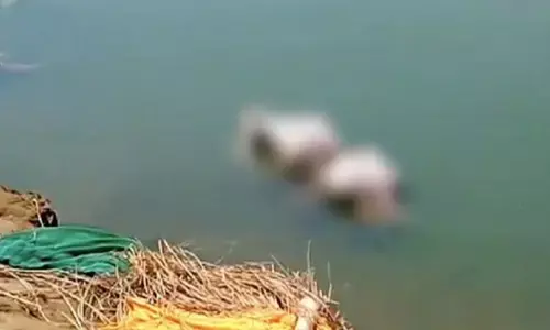 अब यूपी में गंगा नदी में तैरती लाशों से लोगों में हड़कंप, बिहार में अब तक 71 शव बरामद अब यूपी में गंगा नदी में तैरती लाशों से लोगों में हड़कंप, बिहार में अब तक 71 शव बरामद