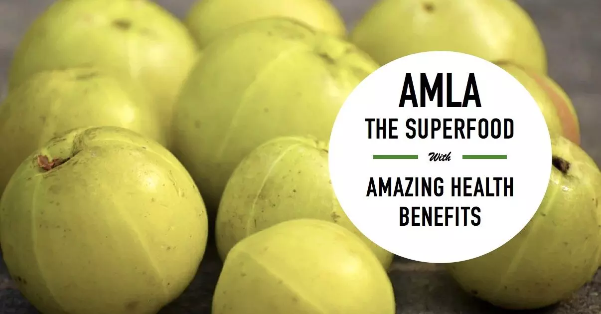 Amla Health Benefits : आंवला सेहत के साथ सौंदर्य की भी करता है रक्षा! जाने कैसे-कैसे गुण हैं?