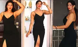 Poonam Dubey Sexy Video: भोजपुरी एक्ट्रेस Poonam Dubey ने Sexy बॉडीकॉन में दिए सेक्सी पोज, बोल्डनेस देख यूजर्स का धड़का दिल