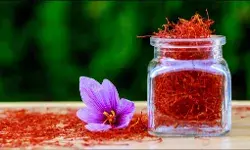 केसर इतना महंगा क्यों है असल कारण जानिये | Why Is Saffron So Expensive? | केसर इतना महंगा क्यों है असल कारण जानिये | Why Is Saffron So Expensive? |