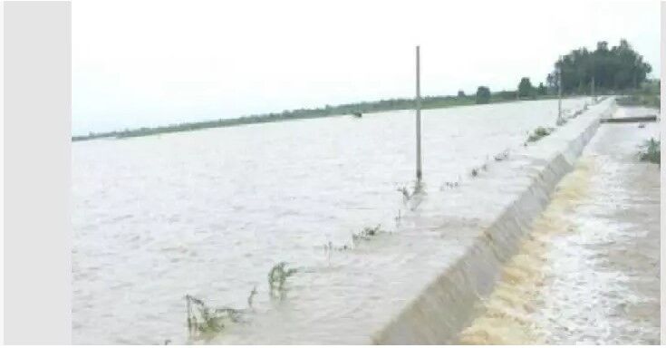 बिहार में बाढ़ का कहर पानी की रफ्तार देख लोग भयभीत: पढ़ें पूरी खबर