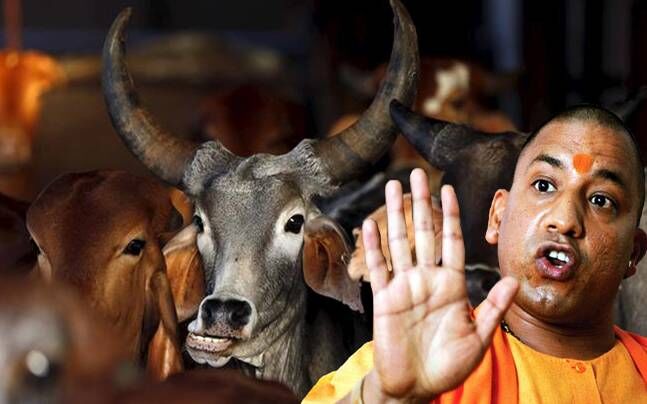 हाईकोर्ट ने योगी सरकार को लगाई फटकार, कहा- आप मांसाहार से नहीं रोक सकते:पढ़ें पूरी खबर हाईकोर्ट ने योगी सरकार को लगाई फटकार, कहा- आप मांसाहार से नहीं रोक सकते:पढ़ें पूरी खबर